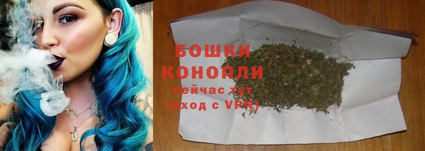 гашик Медвежьегорск