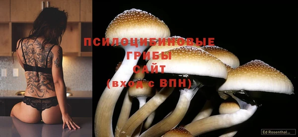 героин Мегион