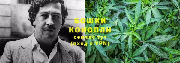 гашик Медвежьегорск