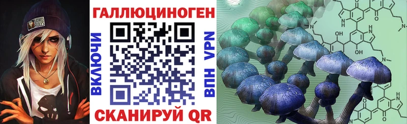 как найти наркотики  Балашиха  Галлюциногенные грибы Psilocybe 
